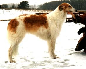 Photo: Paula Tiittanen