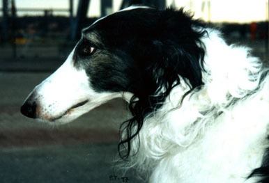 Photo: Paula Tiittanen