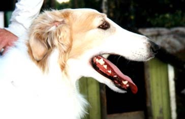 Photo: Paula Tiittanen