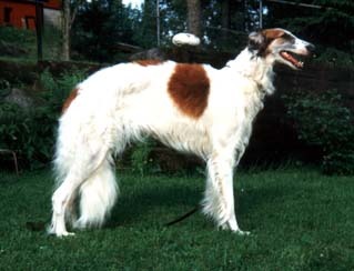 Photo: Paula Tiittanen