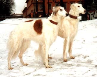 Photo: Paula Tiittanen