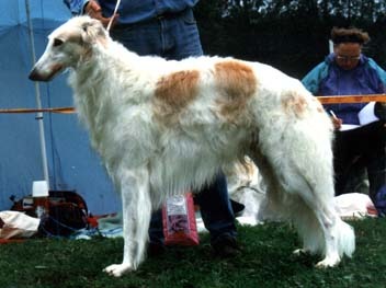 Photo: Tarja Savinen