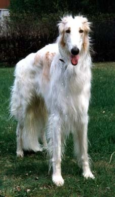 Photo: Esa H�m�l�inen