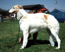 Photo: Jaana Lumpiola