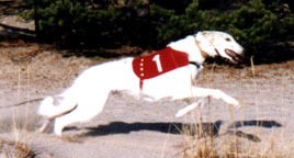 Photo: Esa H�m�l�inen