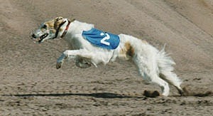 Photo: Tarja Savinen