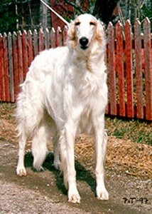 Photo: Paula Tiittanen