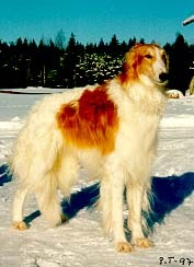 Photo: Paula Tiittanen