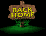 backhomeblk.gif (8262 bytes)