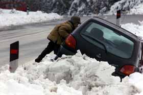 freddo.jpg (15649 bytes)