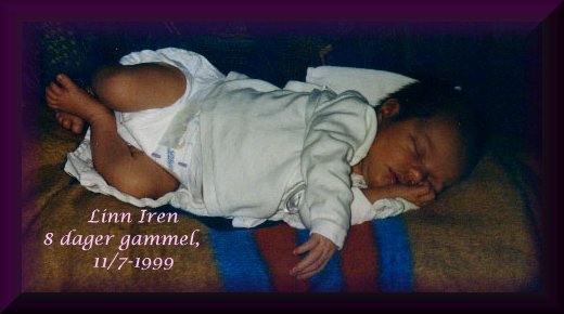 Deilig � slappe av p� sofaen i varmen! 31 grader i skyggen p� Skedsmokorset idag! For varmt til � v�re ute...