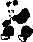 panda.gif (1924 bytes)