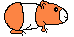 ababygpig24.gif (444 bytes)