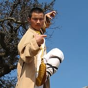 Photo of Master Xing Du demonstrating a Kungfu position.