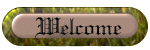 Welcome3