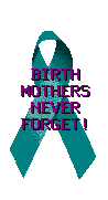 Birth Mom's Never Forget