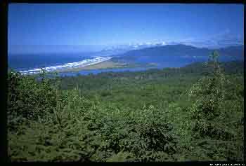 10oregon-coast-ride-16_4TN.jpg