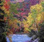 09rocky-gorge-cloudyTN.jpg 358x337