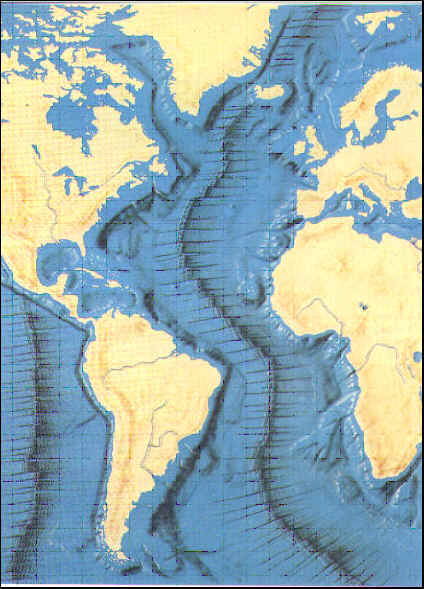 wpe110.jpg (42482 bytes)