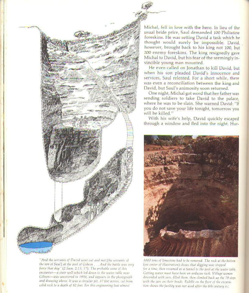 Pozzo.jpg (765058 bytes)