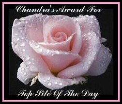 tsdpinkrose.jpg (17298 bytes)