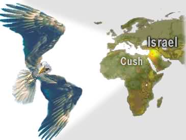 wings.jpg (9855 bytes)