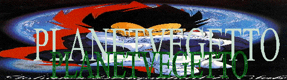 Microsoft Word Document