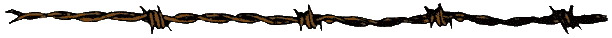 Barb wire 