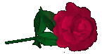 Rose1.gif