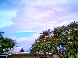 Puka Cam 10/31/00, 11:04AM