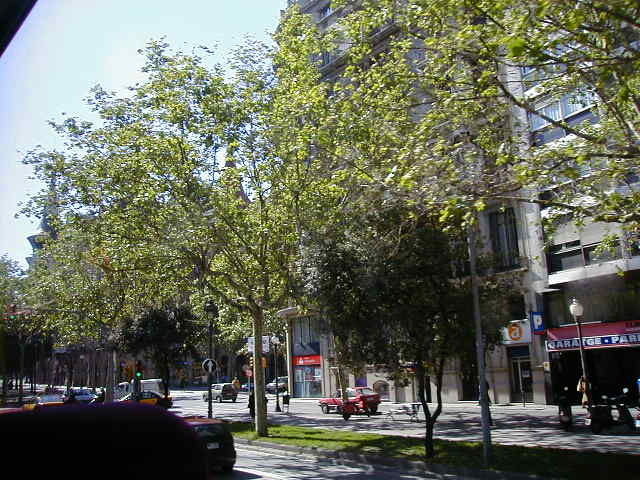 04140087.jpg (63175 Byte)