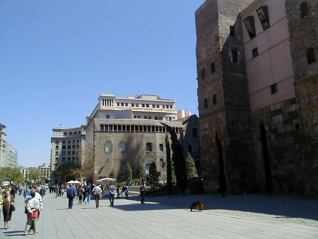 04150154.jpg (55737 Byte)