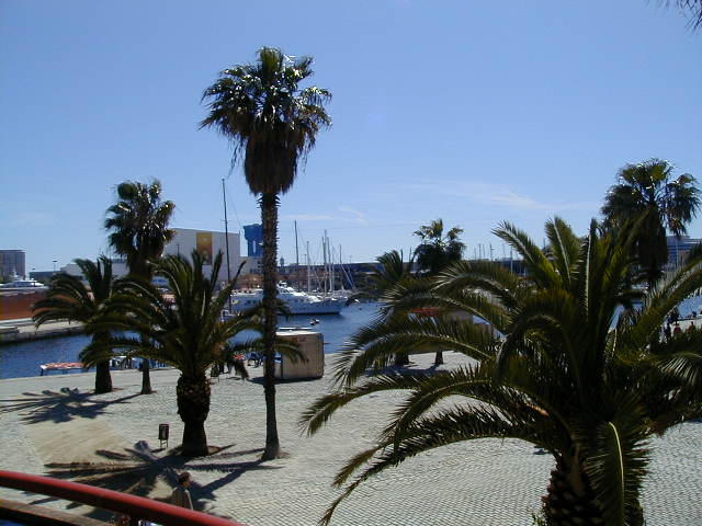 04150166.jpg (57639 Byte)