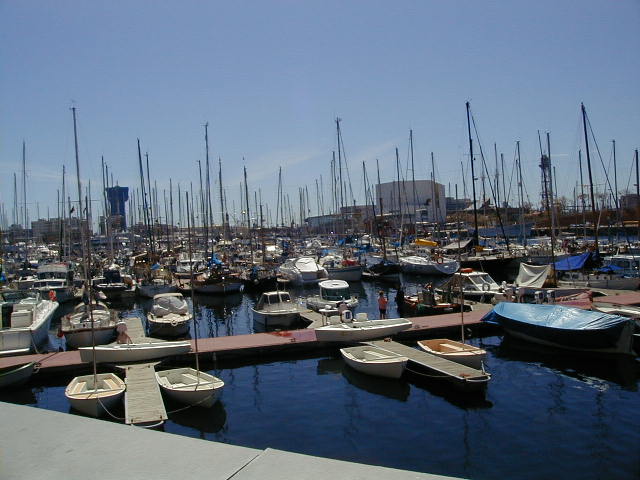 04150167.jpg (57077 Byte)