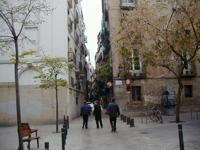 04150192.jpg (61987 Byte)