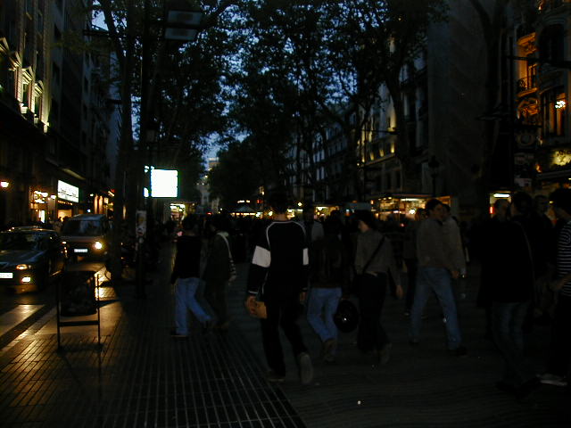 04150196.jpg (54417 Byte)