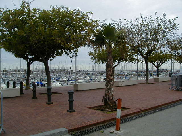 04160227.jpg (63393 Byte)