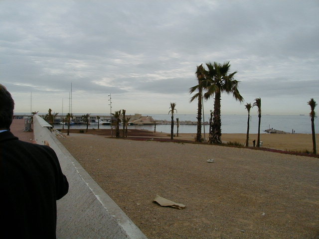 04160233.jpg (58003 Byte)