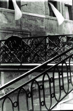 wpe1.jpg (16505 bytes)