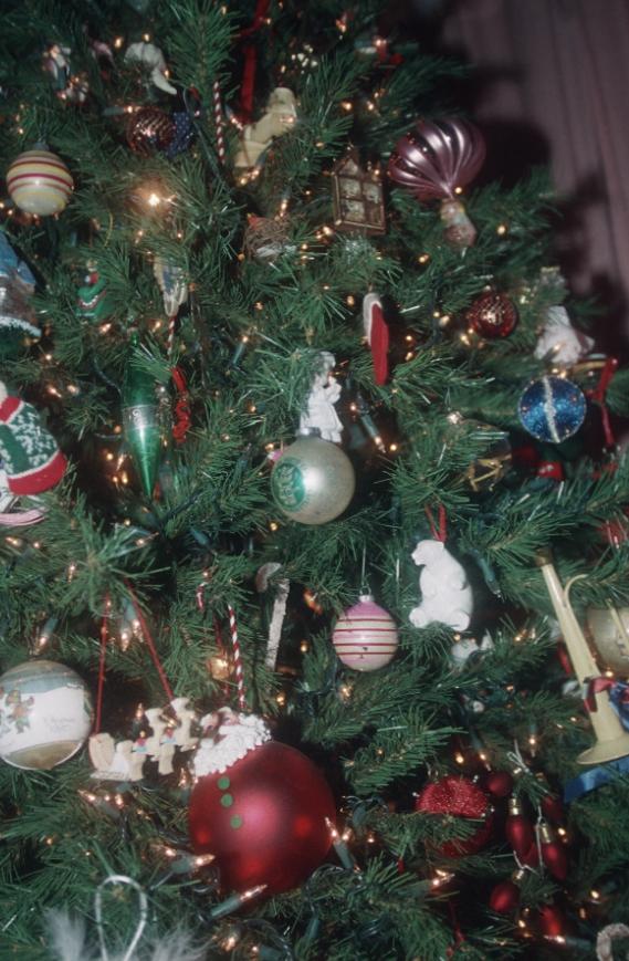 Christmas celebrations