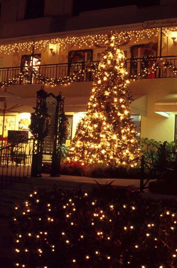 Christmas celebrations