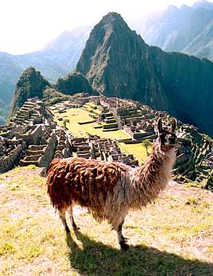 Inca City,  Peru