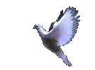 dover.gif (38646 bytes)