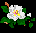 magbtn.gif (393 bytes)