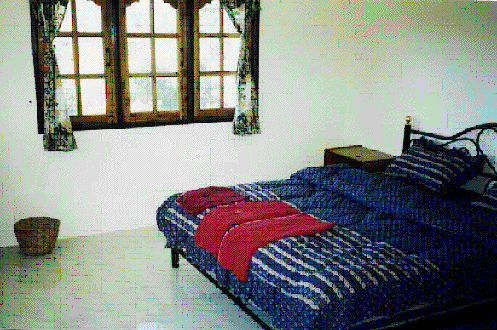 Corel PHOTO-PAINT 6.0 Image