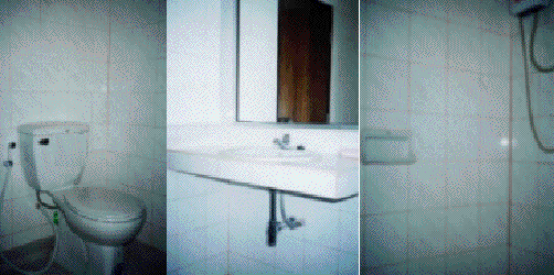 Corel PHOTO-PAINT 6.0 Image