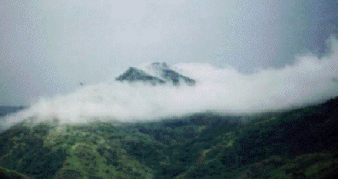 Corel PHOTO-PAINT 6.0 Image