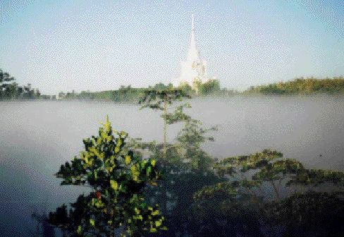 Corel PHOTO-PAINT 6.0 Image