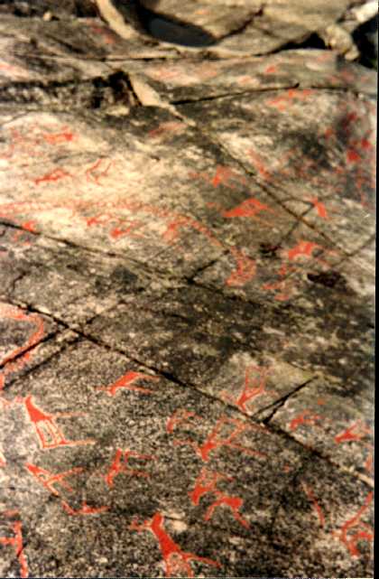 Kresby kultury Komsa, kter� jsou sou��st� muzea