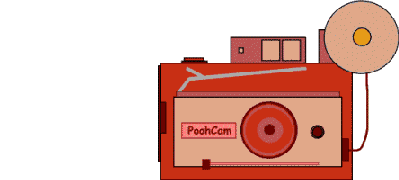 poohcam.gif (50641 bytes)